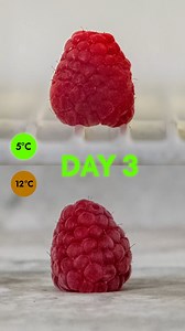 4.7K views · 112 reactions | Stage 4 getting you down? All Woolies stores stay open during loadshedding and our cold chain stays cold ❄️ Find out more: https://brnw.ch/21wHsXD | WOOLWORTHS | Facebook