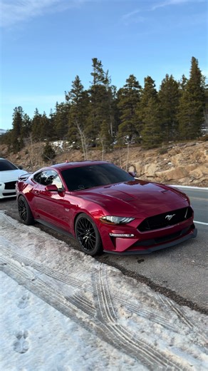 Mustang 5.0 Performance with 10R80 Transmission