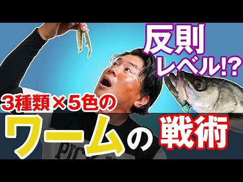 【ワームの戦術】スレたシーバス攻略には必須授業！シャッドテールばかり使ってませんか？オヌマンのシーバス塾