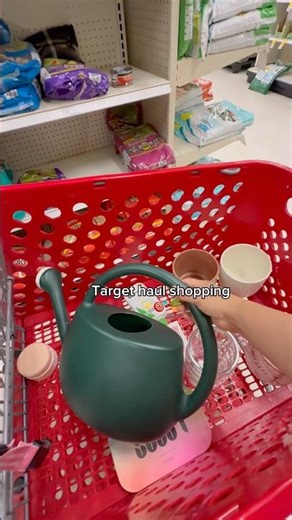 Target haul✨🎯#target #targethaul #shorts