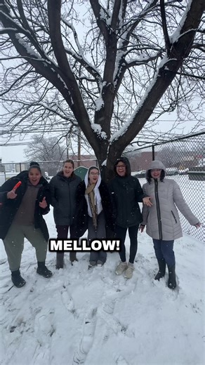 Meet Mellow: Your New Best Friend at Perth Amboy Shelter