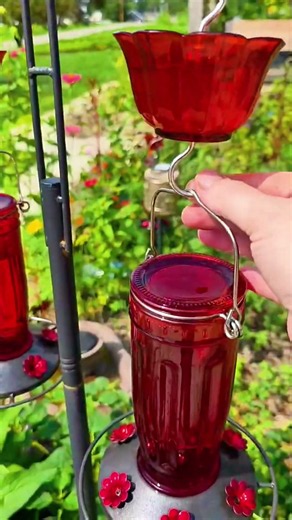Want to turn your backyard into a hummingbird haven? 🌺🐦 The Kingsyard Glass Hummingbird Feeder