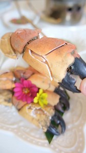 1K views · 150 reactions | สำรับพราหมณ์ Sumrubpharm ทุกคน มาแม่กลอง...