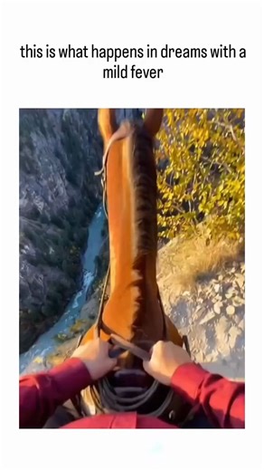 Follow for chocolate 🍫 | The post shares a 11-second first-person video of a horseback ride along a perilously narrow, rocky trail edging a steep cliff with a river... | Instagram