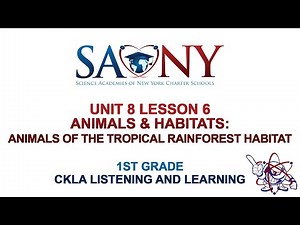 1st Grade CKLA Listening & Learning - Unit 8 Lesson 6 Animals & Habitats: Animals of the Tropical Ra