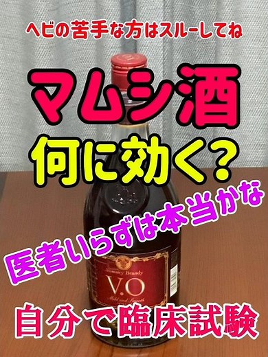 ⭕️マムシ酒何に効く？自分で臨床試験※試す人は自己責任で‼️#マムシ酒#ハミ酒#ヘビ#ブランデー#酒#焼酎#臨床試験#治験者#外耳道炎#おでき#口角炎#鼻せつ#皮膚疾患#皮膚病#ハゲ#薄毛#白髪
