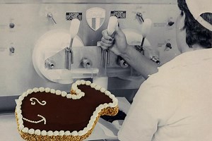 Everything you ever wanted to know about Fudgie the Whale
