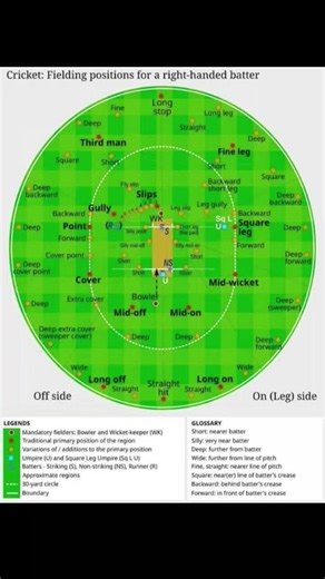 cricket 🥰 field 🇮🇳 #cricket