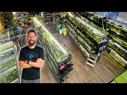 This Fish Store Has 1,000 Tanks and Cichlids! (Private Tour)