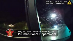 1.8K views · 19 reactions | Designated Driver Arrested for Her 2nd DUI #PullmanBrownChair | Bodycam Activities | Facebook