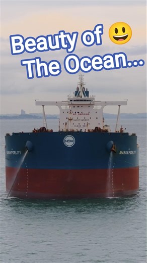 🌊 Ocean Views from the Deck #runaway #aurora #explore #ocean #ship #shorts #vlog #viral #viral_video