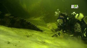 1.1M views · 18K reactions | #MonsterWeek begins tonight at 9/8c with...