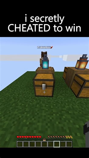 Minecraft: Did I Secretly Cheat to Win?