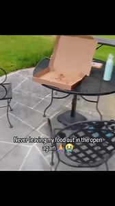 15K views · 703 reactions | random memes from my phone pt.123 #reels #funny #memes #random | Randomness Randomness | Facebook