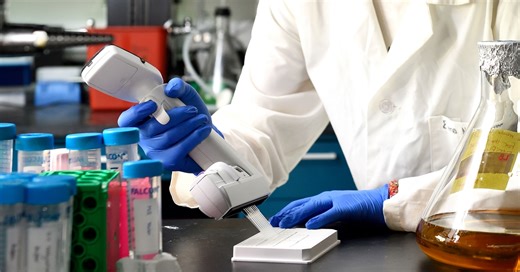 Danfeng Cai Lab | Johns Hopkins Bloomberg School of Public Health