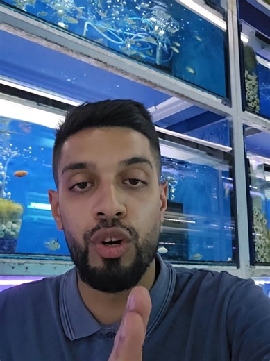 🚫🐟 STOP falling for the neon & cardinal hype! 🐟🚫 Despite what mainstream media pushes, Neon & Cardinal Tetras are actually NOT beginner-friendly 😬 Years of over-breeding and poor genetics have made them far harder to keep alive 💔 ✅ There’s a BETTER solution 👇 Try these hardy, underrated stunners instead 🔥 🌹 Rosy Fin Tetras ✨ Costae Tetras 💎 Diamond Tetras ✔️ Easy to keep alive ✔️ Live longer ✔️ Grow to a decent size ✔️ Super active & eye-catching ✔️ No special care needed Perfect for b