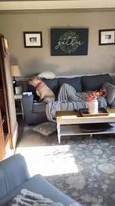 Rocky seems annoyed 😂🐾#rocky #bestfriend #sis #naps #couch #bestdogever | Heather Michelle