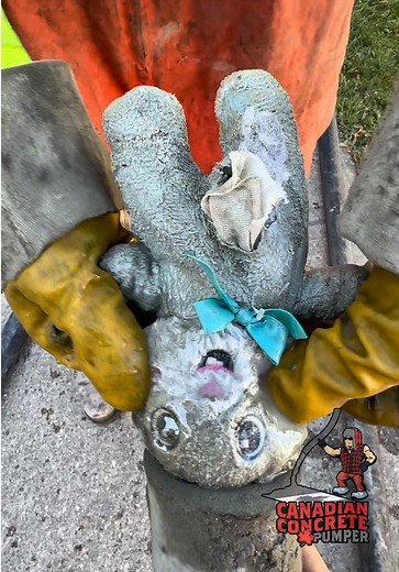 Poor little guy: Canadian concrete pumper rescue moment