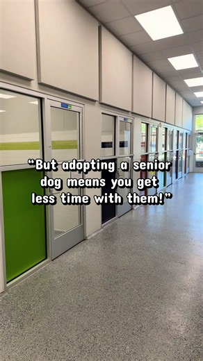 Drip and Droplet are two of our senior residents at HSC 🐾 They would love to find their forever homes to live out their golden days! #adopt #humanesociety #dogsoftiktok #charlottenc
