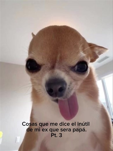 Amor de Lejos: Pecas y Mi Ex