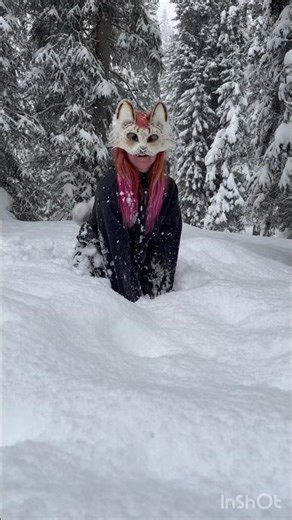 ❆ so much snooow ❆ #adulttherian #alterhuman #snow #therian #quadropics