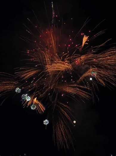 #元宵节快乐 #cny #firework #disneyfireworks #不吃醋的特蕊丝