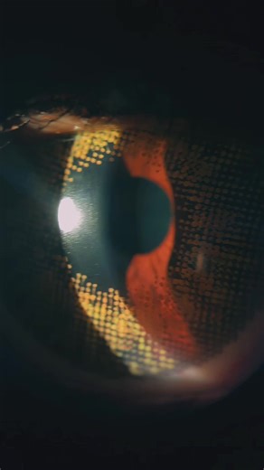 This is what pure hazel color contacts look like up close. Just a clean, natural hazel tone that blends with your real eye color instead of overpowering it. Subtle warmth. Soft dimension. The kind of color people notice without knowing why. Color contacts should enhance your eyes, not look fake or flat. Fit, base color, and undertone matter more than people realize. At Vivid Visions Optometry, Inc. in Valencia, California, we evaluate eye health, comfort, and aesthetics so your contacts look goo