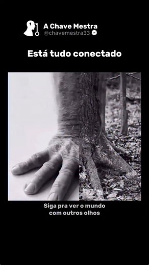 A Chave Mestra on Instagram: "A natureza escreve a mesma história em linguagens diferentes. Os anéis que cortam o tronco de uma árvore contam anos, estações, secas e tempestades. Suas digitais carregam padrões únicos que nunca se repetem em ninguém mais. Mas olhe de perto: ambos seguem espirais, curvas, geometrias que aparecem em galáxias, conchas, furacões e DNA. Não é coincidência. É o mesmo código rodando em escalas diferentes. A vida não inventa do zero, ela repete fórmulas que funcionam des