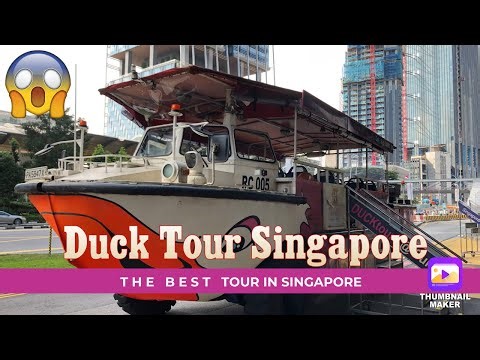 Dive into Adventure: Singapore Duck Tour - Landmarks and River Views!
