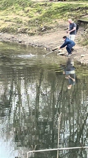 Ultralight fishing also yields good fish #fishing #angling