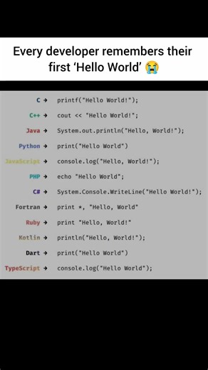 Every Developer Remembers Their First “Hello World” 😭💻 #developer #coding #programming #tech #python