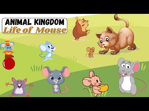 🐭Exploring Life of Mouse: Educational Facts for Kids