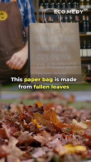 EcoMedy | @releafpaper is Turning fallen leaves into sustainable paper products ! . Saving 17 trees per ton, recycling 2.5 tons of leaves, and... | Instagram
