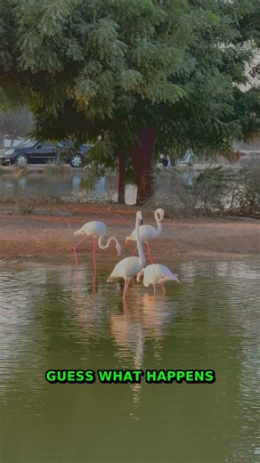 The Secret Life Of Tiny Ecosystems | Unlocking The Key To A Healthi...