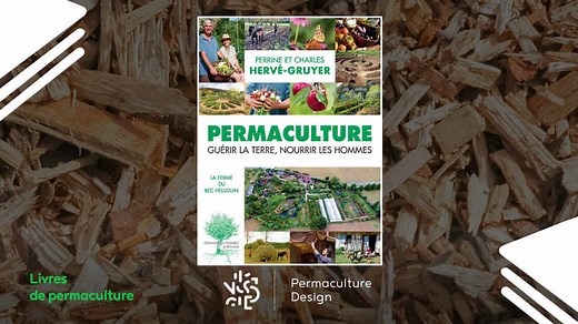 Découvrez une ferme en permaculture productive et inspirante