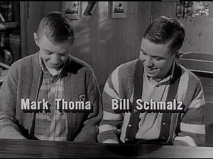 P&G: Crest Toothpaste, 1950s-1960s / AdViews / Duke Digital Repository