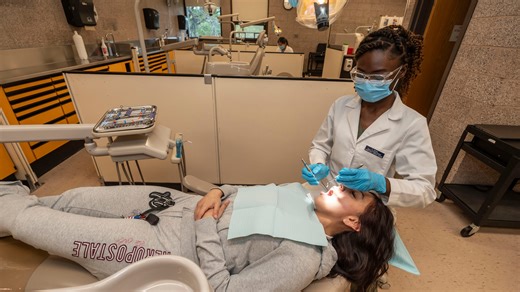 NY offers free community college for adults seeking high-demand jobs. How you can enroll