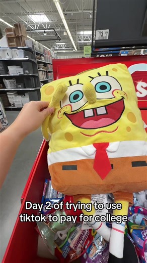 Using TikTok to Fund College: Day 2 Update