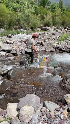 Casting a net for cherry salmon in the Naruse River! Kappa myth Debank misses out on stream fishi...