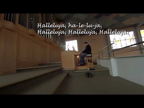 GL 483 - Halleluja (aus Taize)