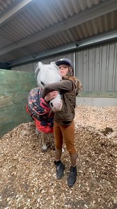 Alice and her friends, introducing her ponies that are going to hoys this week (and princess who’s qualified London international). Notice how each one of them is the best pony ever 🥰🐴😂 | Alice’s Pony Wonderland