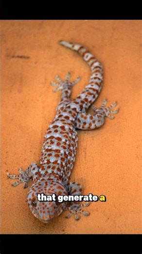 The SECRET Power That Makes Geckos Walk on Walls!😱