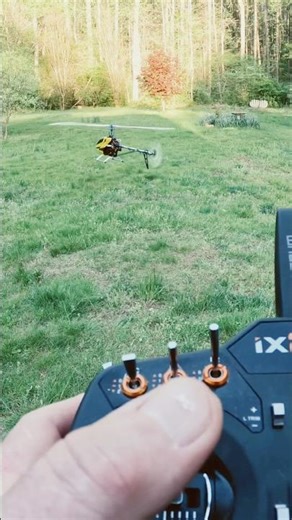 Trex 600 takeoff and landing