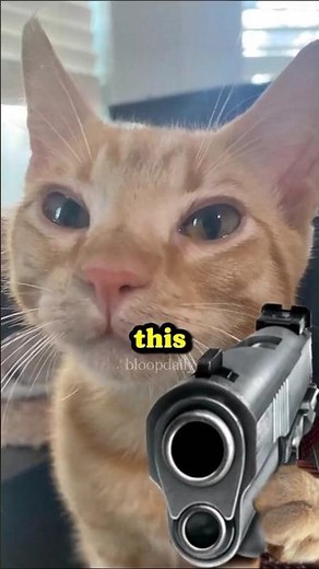 Top 5 funniest parkour fails ever caught on camera😂🤣