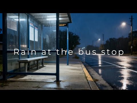 Calm Night Rain Ambience at the Bus Stop 🌧️ Relaxing Public Space Sounds