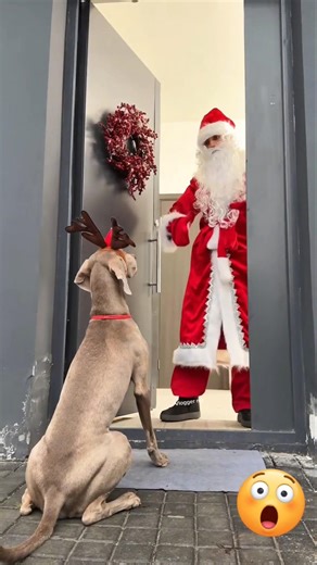 Santa Prepare Golu For Christmas Party 🥳🤣🥰