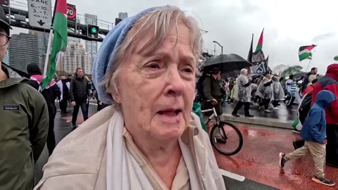Tens of thousands march for Palestinians over Sydney Harbour Bridge