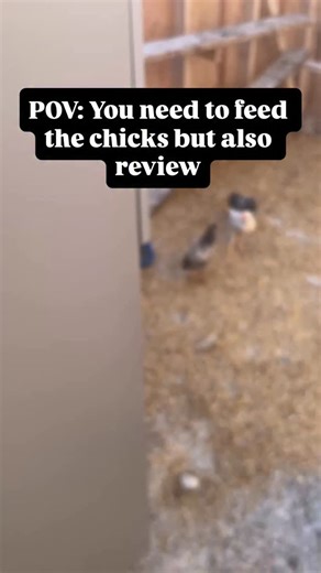 Multitasking is once again possible. How do you review when you have chores? #quran #muslim | Adam Gewida