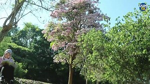 MAJLIS KONVOKESYEN UNIVERSITI UTARA MALAYSIA KE-38 9-13 NOVEMBER 2025, SELASA DEWAN MU'ADZAM SHAH, UUM #konvouum38 #uumconvocation38 #KPT #4dekadpemacutransformasi #MalaysiaMADANI #UniversitiPengurusanTerkemuka #IlmuBudiBakti Layari laman web rasmi di: https://www.uum.edu.my/ Portal berita digital di uumtoday.com Ikut media sosial rasmi di: Twitter https://twitter.com/uumnews Instagram https://www.instagram.com/uumofficial Youtube https://www.youtube.com/UUMtube Telegram https://t.me/uuminfo Tik