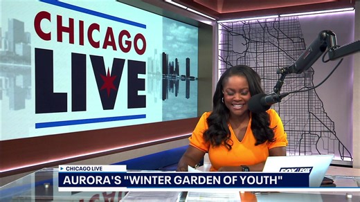 26K views · 34 reactions | Chicago's Little Village community is gathering today after recent immigration enforcement, the CDC has approved new vaccine guidelines for children, and the Bears take on the Packers Sunday to maintain control of the NFC. That and more, on ChicagoLIVE! | Fox 32 Chicago | Facebook